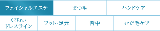 美顔　まつ毛　ハンドケア　くびれ・ドレスライン　レッグ・足元　背中　むだ毛ケア